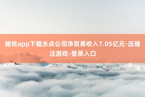 赌钱app下载水点公司净贸易收入7.05亿元-压赌注游戏-登录入口