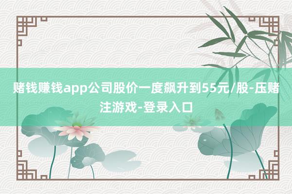 赌钱赚钱app公司股价一度飙升到55元/股-压赌注游戏-登录入口